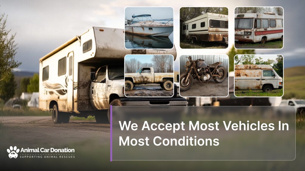 We Accept Most Vehicles In Most Conditions