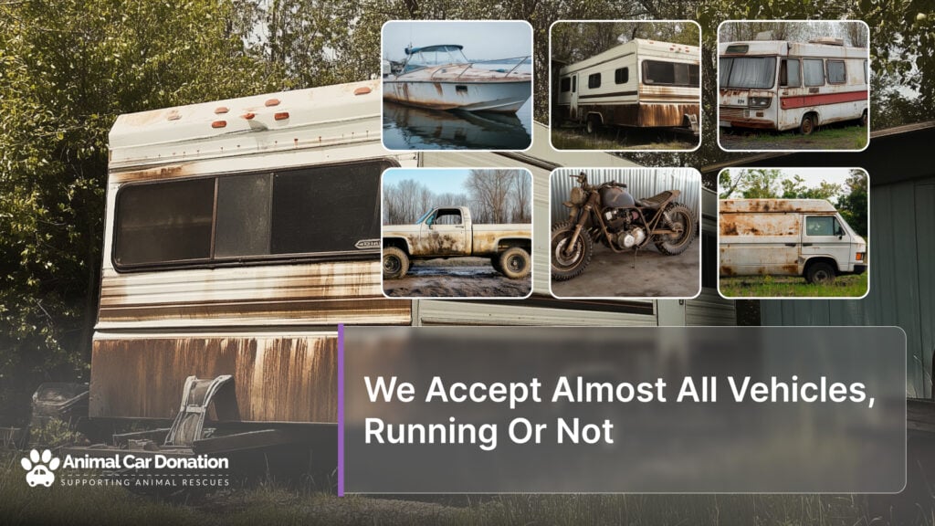 We Accept Almost All Vehicles, Running Or Not