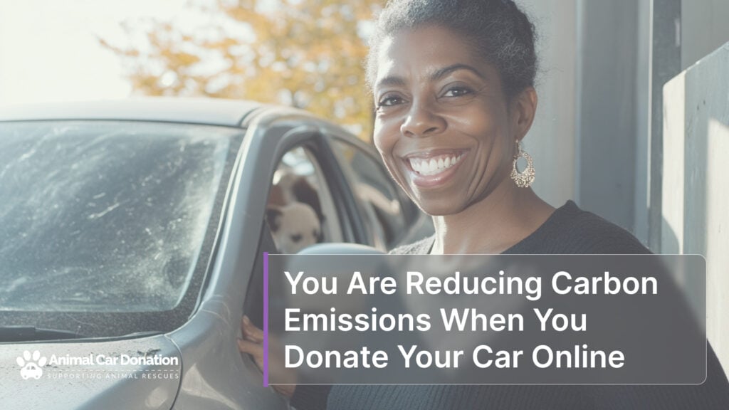 You Are Reducing Carbon Emissions When You Donate Your Car Online