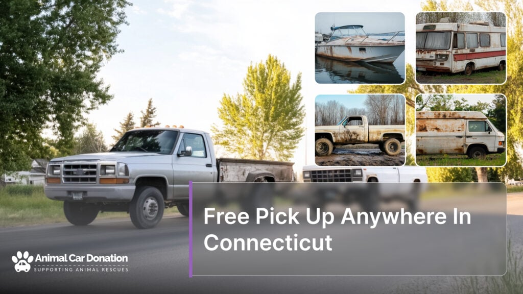 Free Pick Up Anywhere In Connecticut