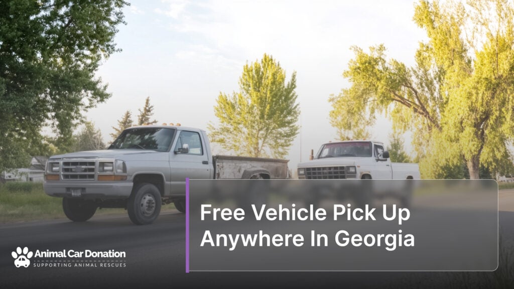 Free Vehicle Pick Up Anywhere In Georgia