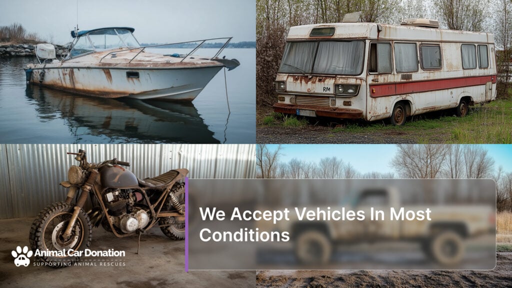 We Accept Vehicles In Most Conditions