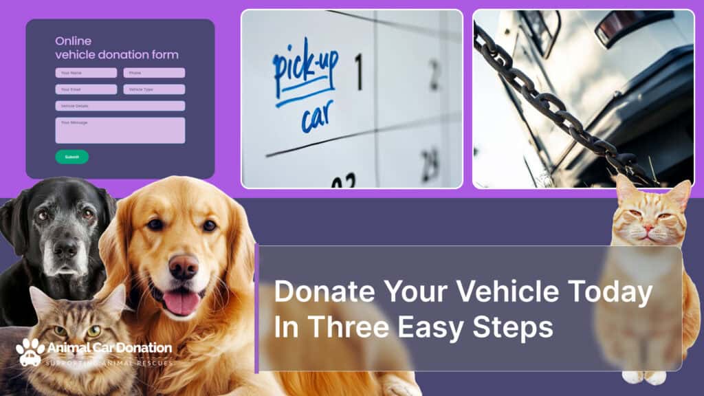 Donate Your Vehicle Today In Three Easy Steps