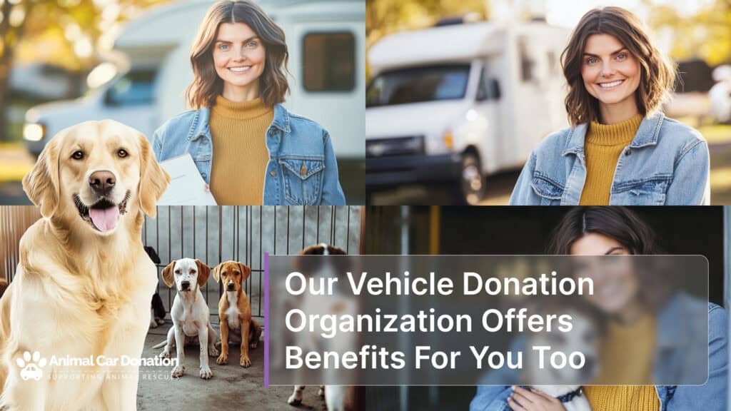 Our Vehicle Donation Organization Offers Benefits For You Too