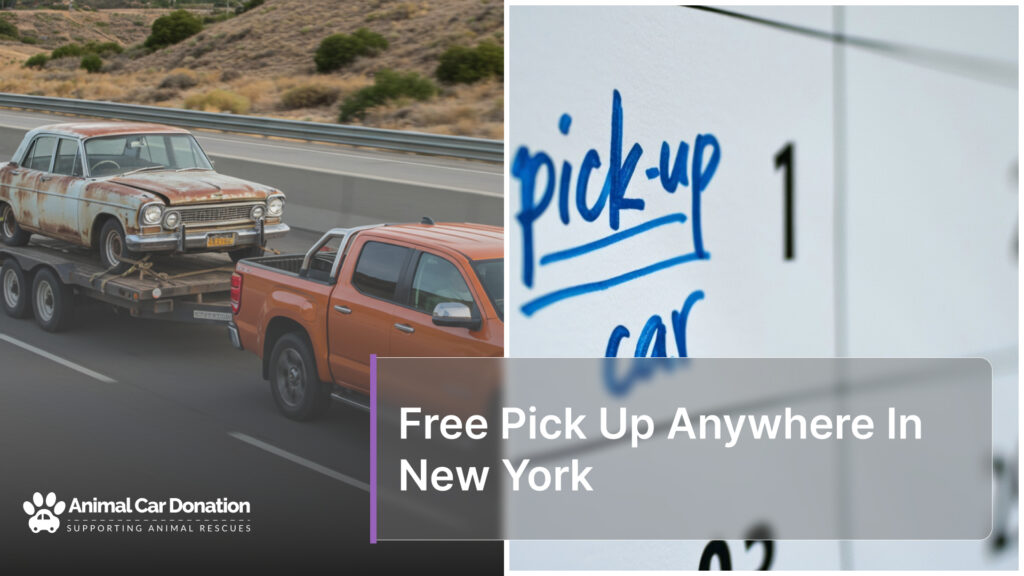 Free Pick Up Anywhere In New York