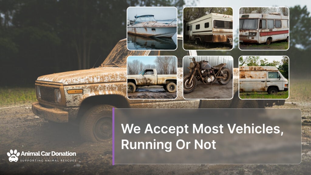 We Accept Most Vehicles, Running Or Not