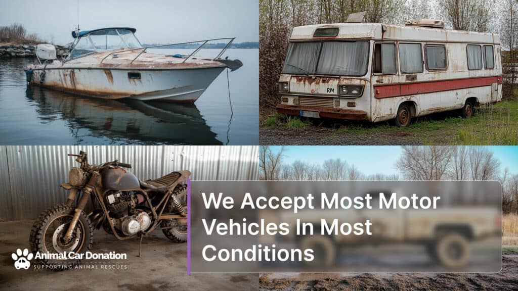 We Accept Most Motor Vehicles In Most Conditions