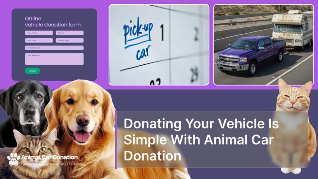 Donating Your Vehicle Is Simple With Animal Car Donation