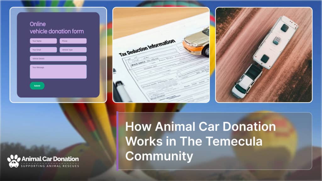 How Animal Car Donation Works in The Temecula Community