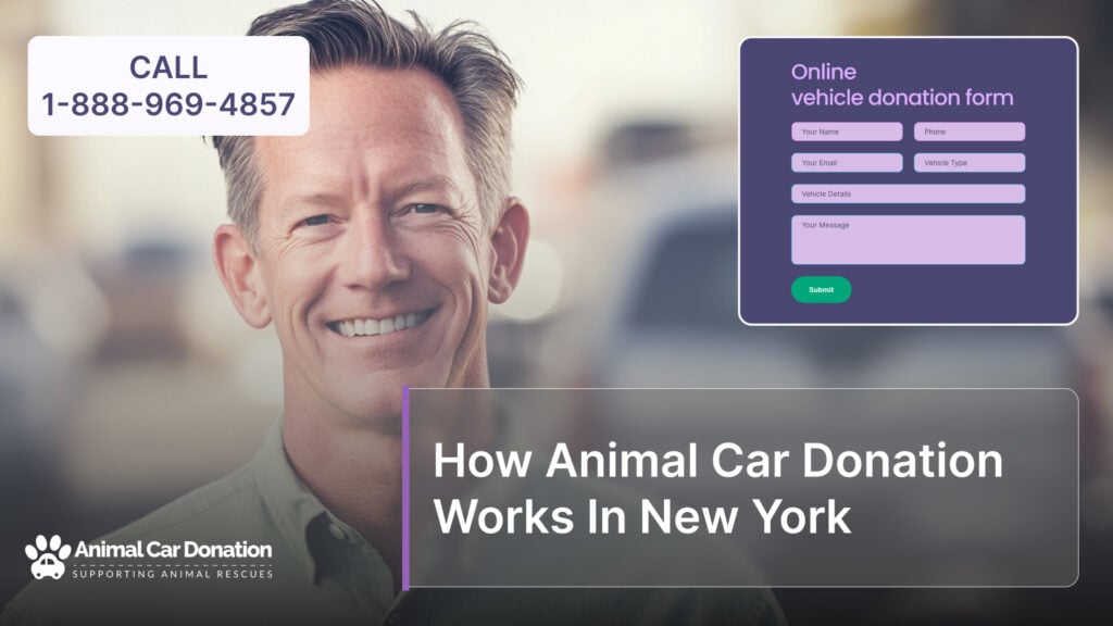 How Animal Car Donation Works In New York