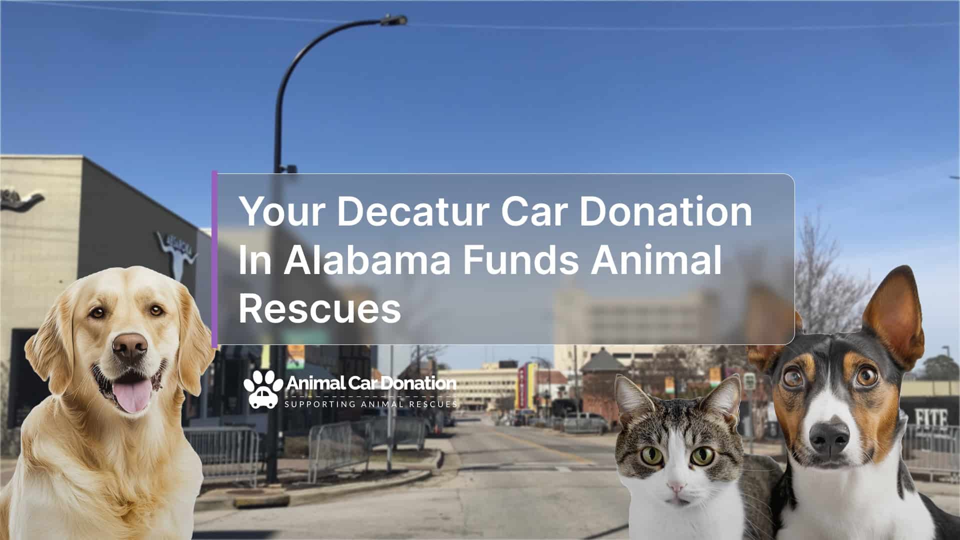 Check And Go Decatur Your Decatur Car Donation In Alabama Funds Animal Rescues