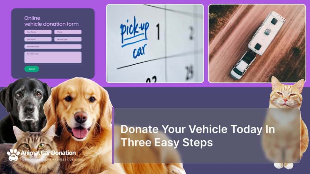 Donate Your Vehicle Today In Three Easy Steps
