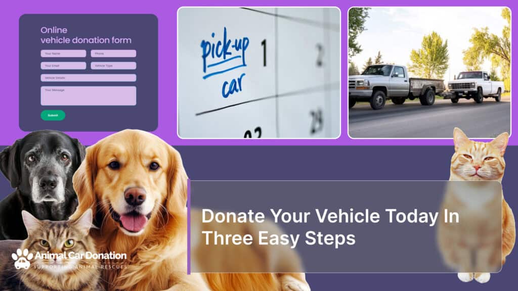 Donate Your Vehicle Today In Three Easy Steps