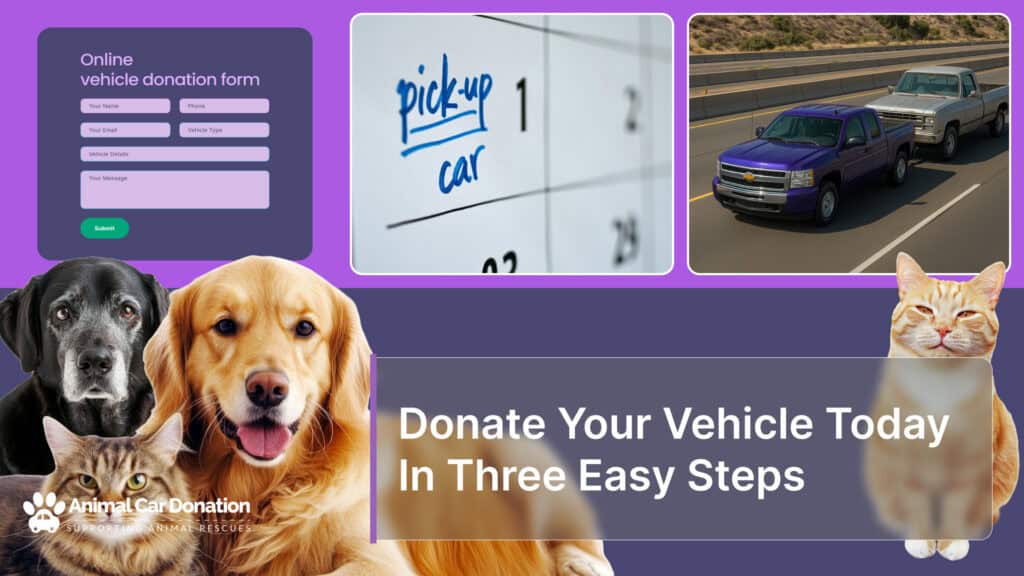 Donate Your Vehicle Today In Three Easy Steps
