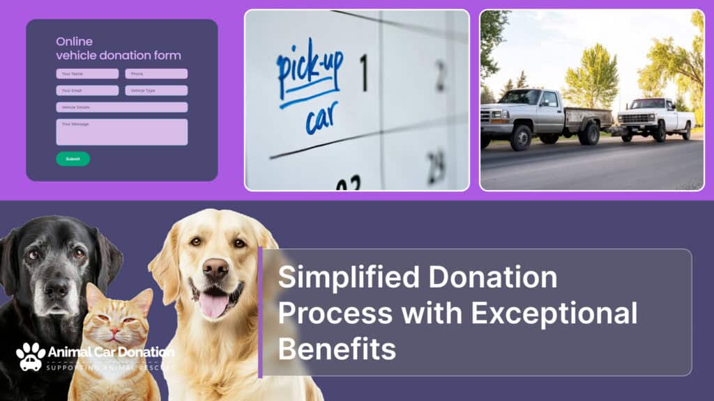 Simplified Donation Process with Exceptional Benefits
