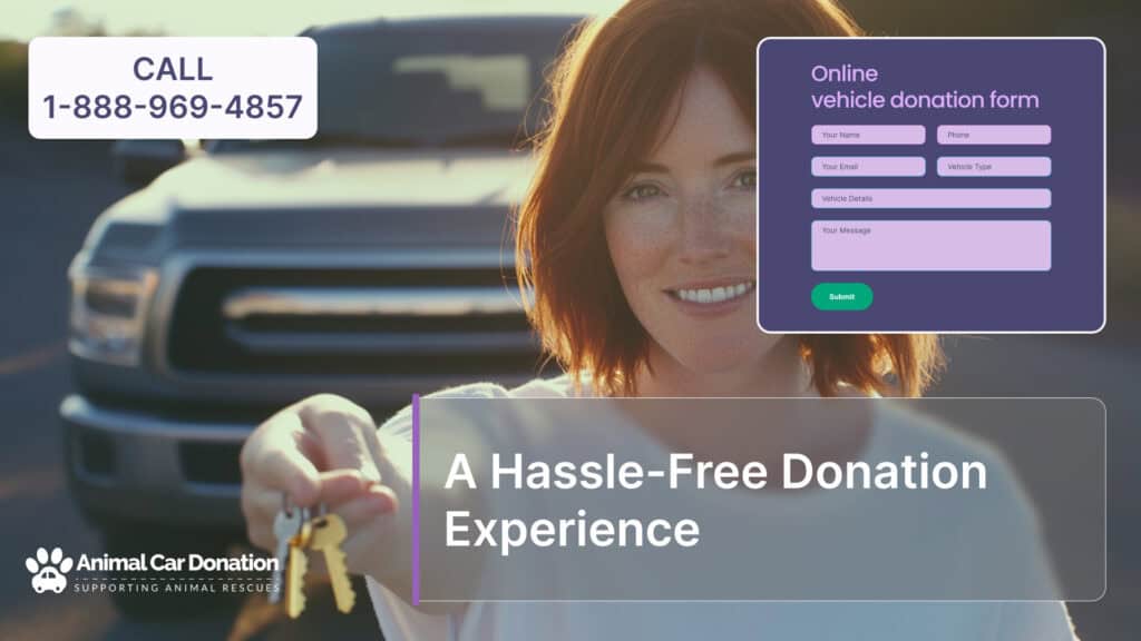 A Hassle-Free Donation Experience
