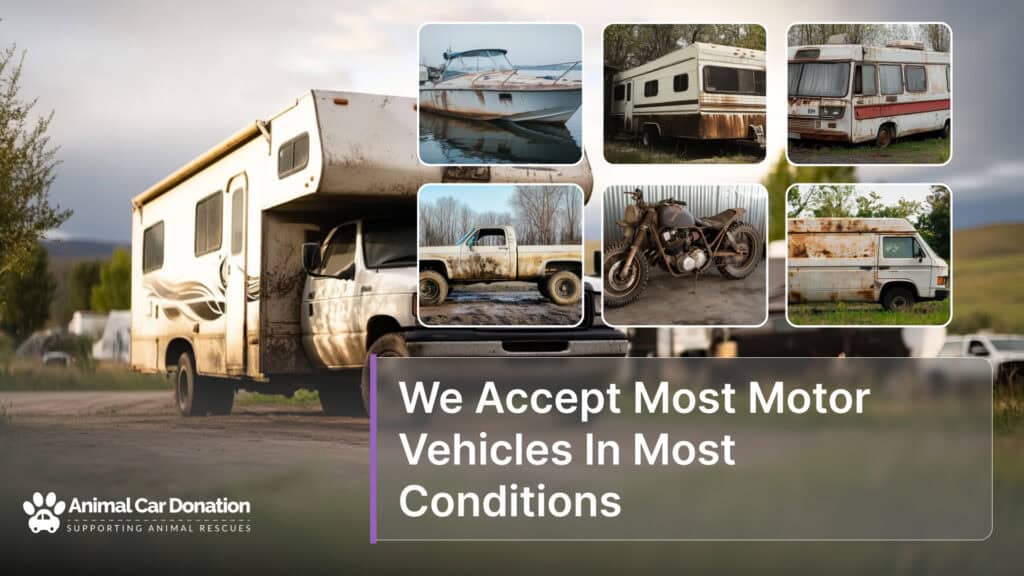 We Accept Most Motor Vehicles In Most Conditions