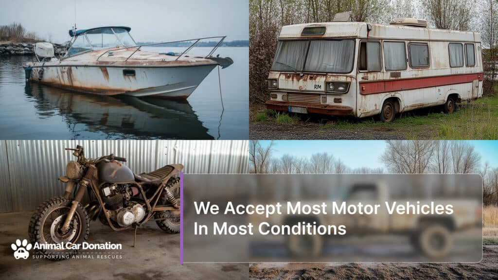 We Accept Most Motor Vehicles In Most Conditions