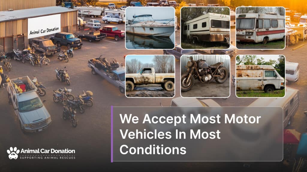 We Accept Most Motor Vehicles In Most Conditions