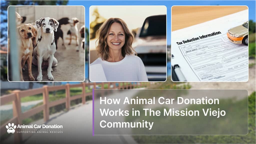 How Animal Car Donation Works in The Mission Viejo Community
