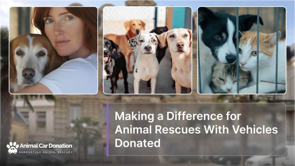 Making a Difference for Animal Rescues With Vehicles Donated