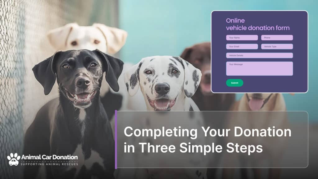 Completing Your Donation in Three Simple Steps