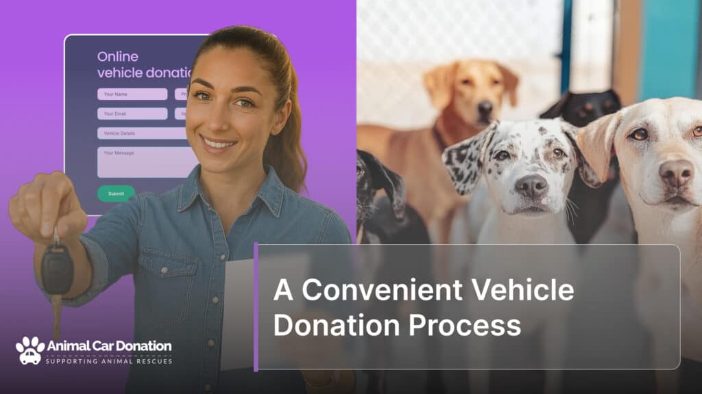 A Convenient Vehicle Donation Process