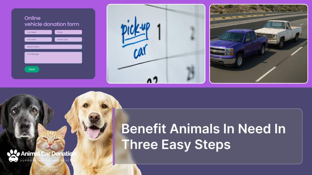 Benefit Animals In Need In Three Easy Steps