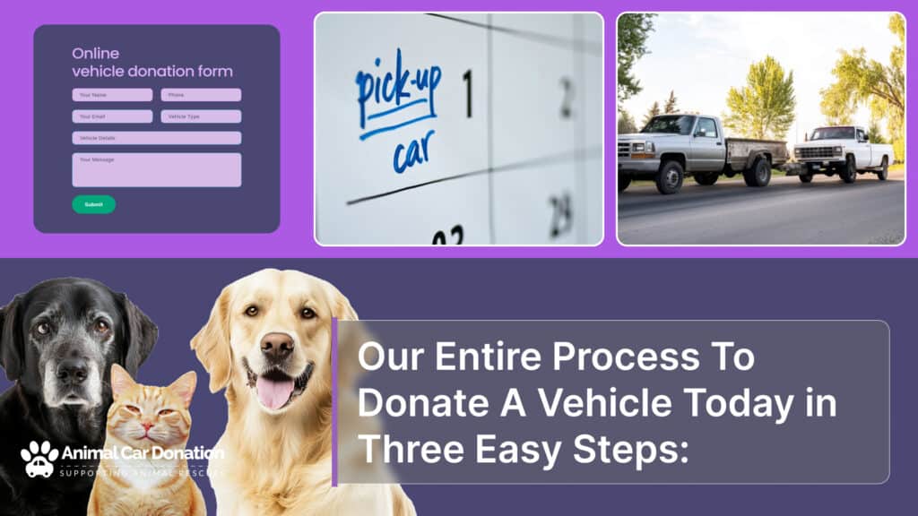 Our Entire Process To Donate A Vehicle Today in Three Easy Steps: