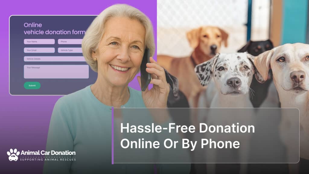 Hassle-Free Donation Online Or By Phone