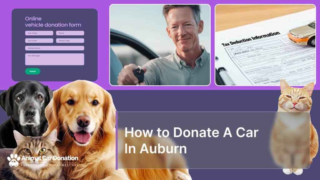 How to Donate A Car In Auburn