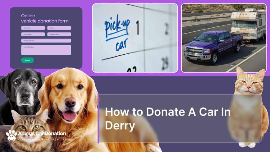 How to Donate A Car In Derry