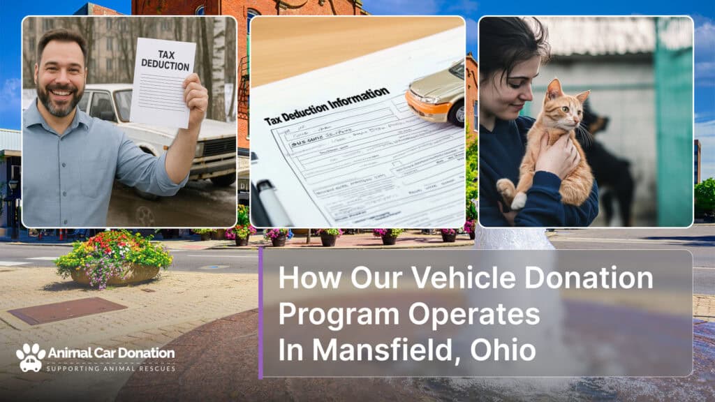 How Our Vehicle Donation Program Operates In Mansfield, Ohio