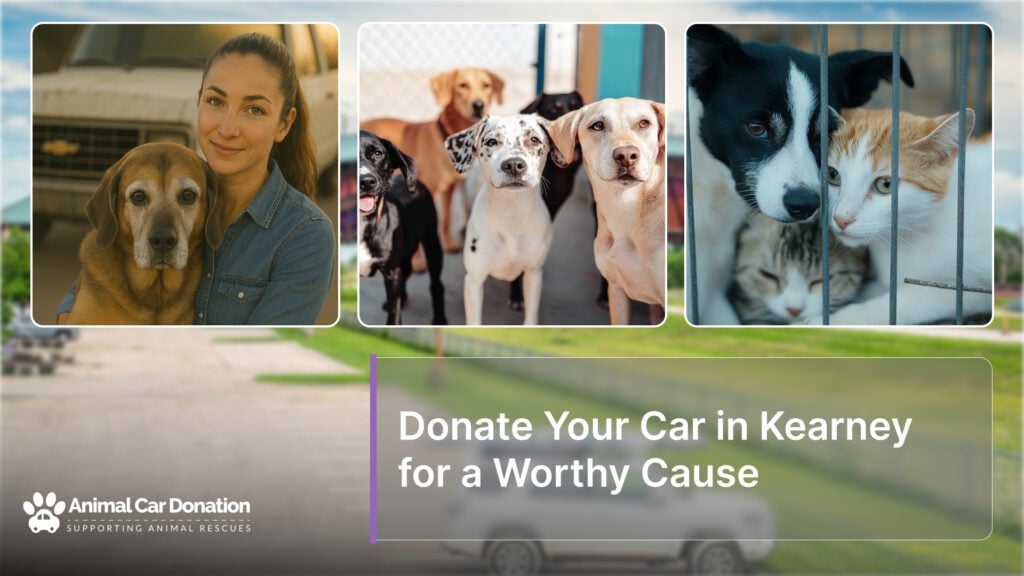 Donate Your Car in Kearney for a Worthy Cause
