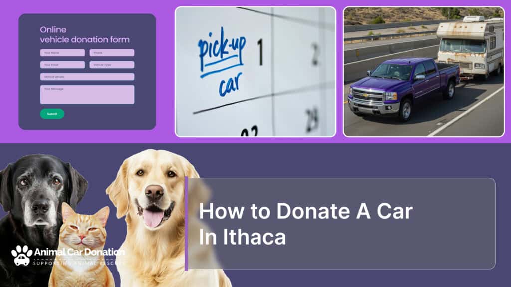 How to Donate A Car In Ithaca