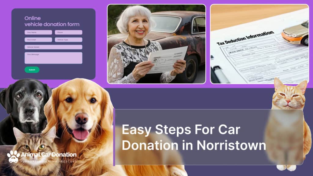 Easy Steps For Car Donation in Norristown