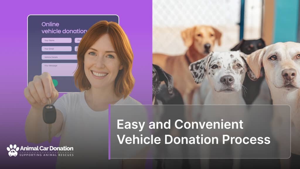 Easy and Convenient Vehicle Donation Process