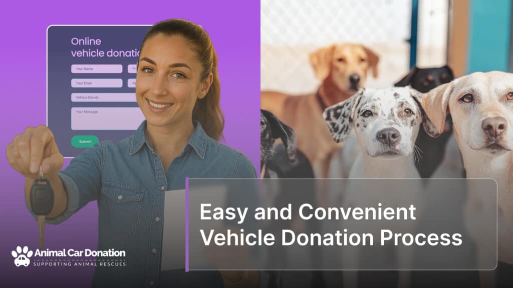 Easy and Convenient Vehicle Donation Process