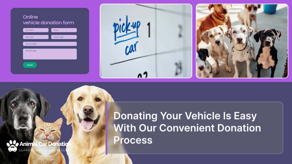 Donating Your Vehicle Is Easy With Our Convenient Donation Process