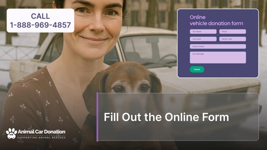 Fill Out the Online Form