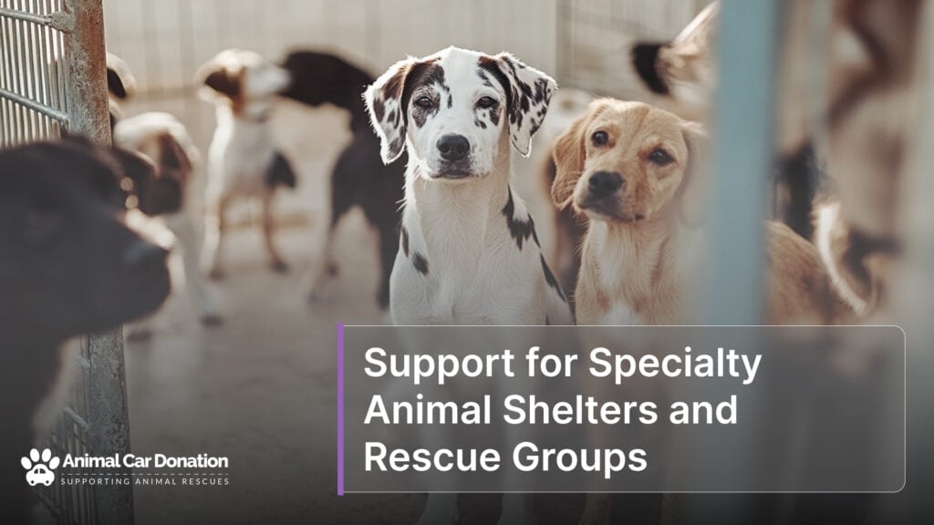 Support for Specialty Animal Shelters and Rescue Groups
