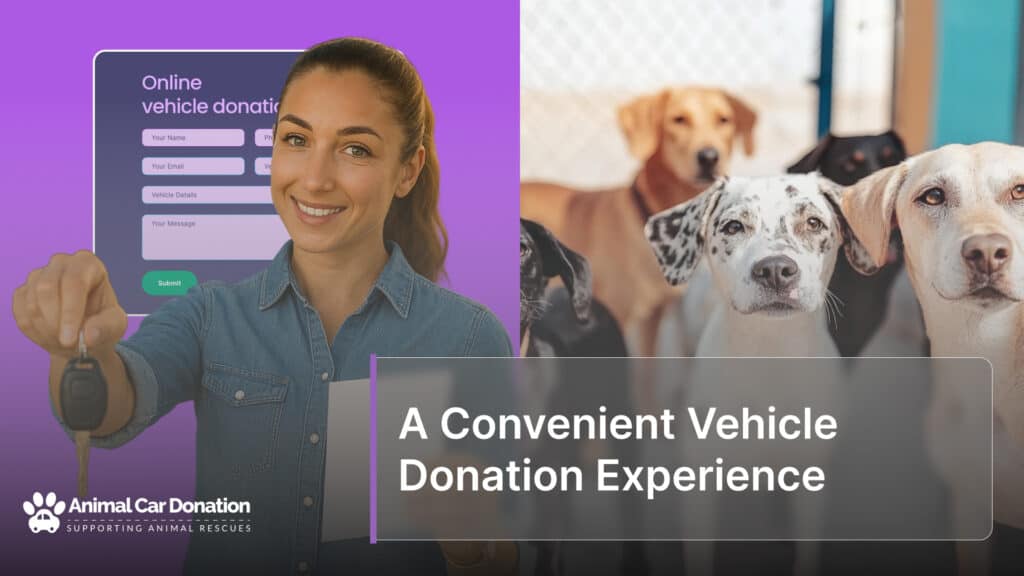 A Convenient Vehicle Donation Experience