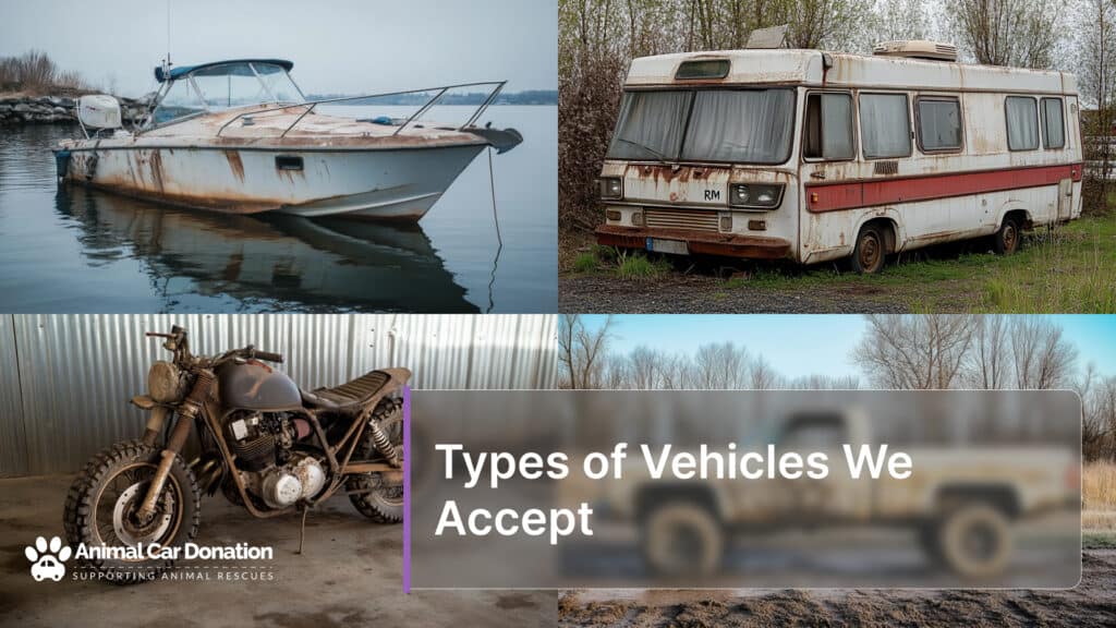 Types of Vehicles We Accept