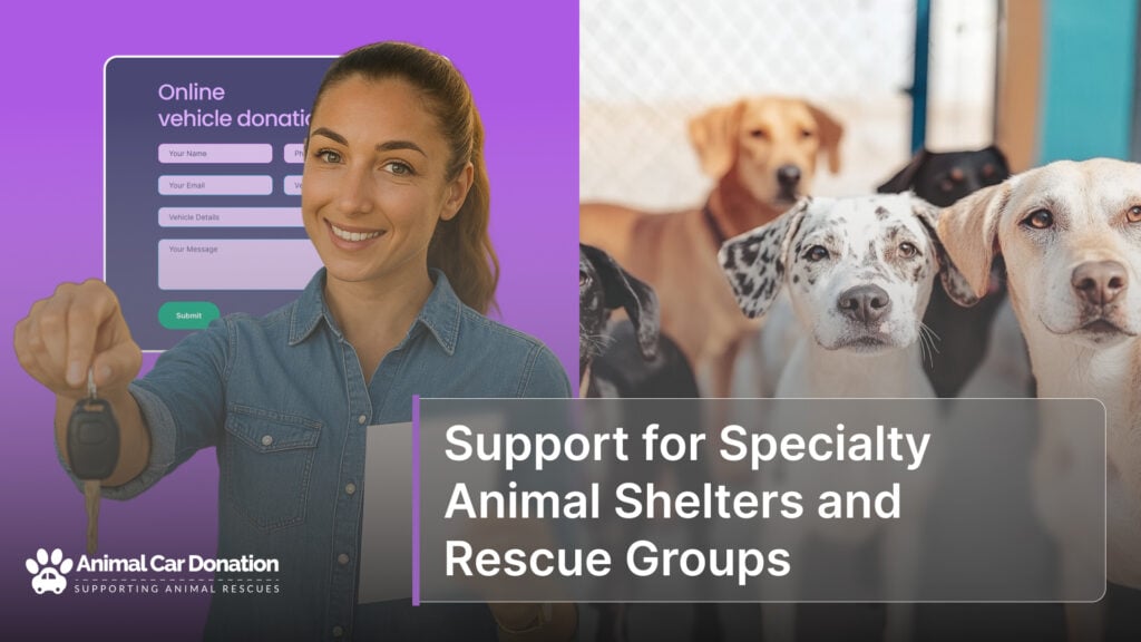 Support for Specialty Animal Shelters and Rescue Groups