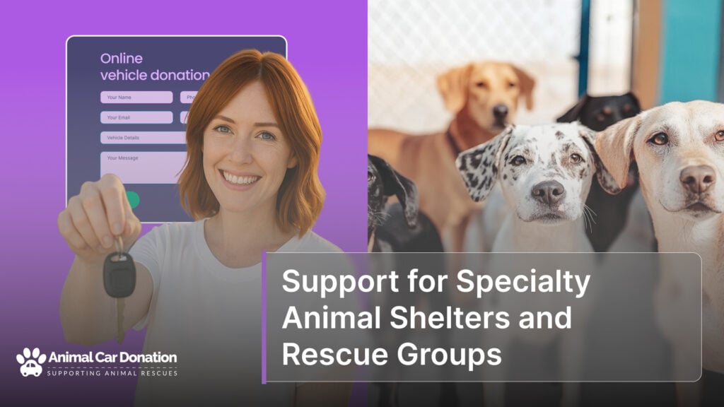 Support for Specialty Animal Shelters and Rescue Groups