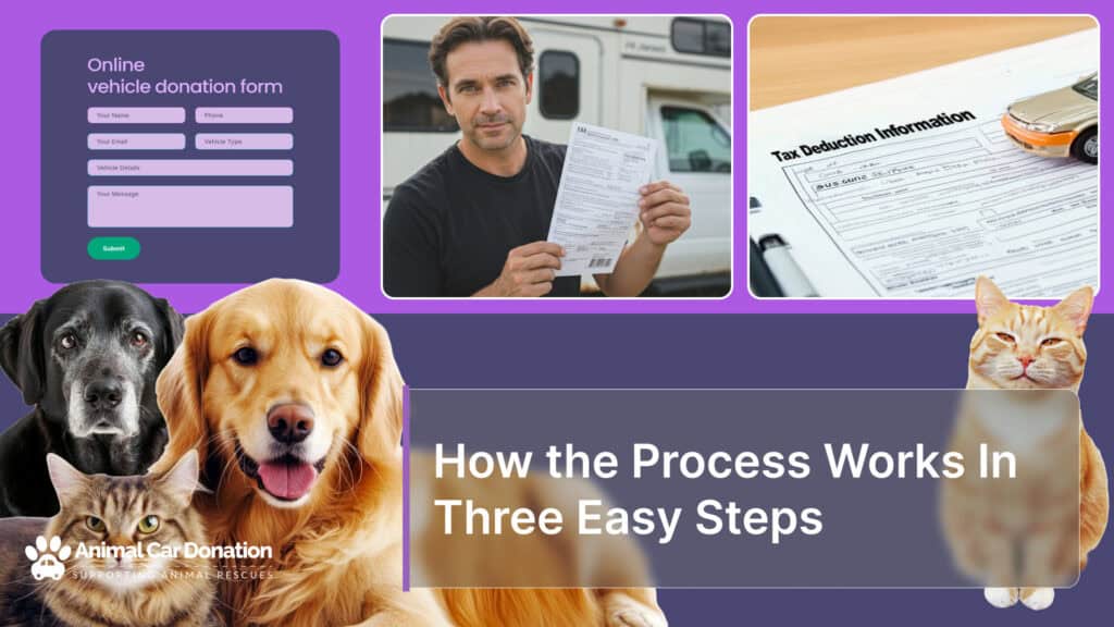 How the Process Works In Three Easy Steps