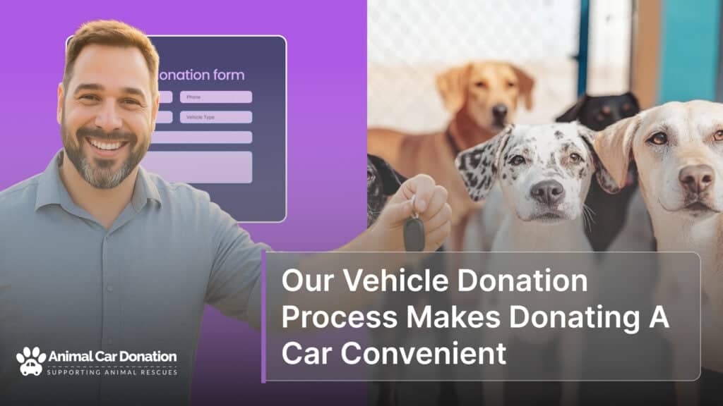 Our Vehicle Donation Process Makes Donating A Car Convenient