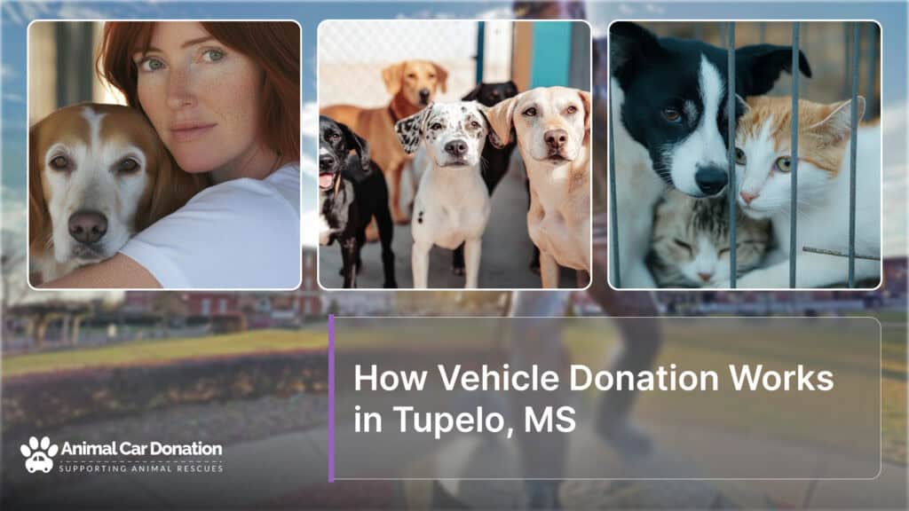 How Vehicle Donation Works in Tupelo, MS