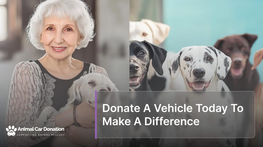 Donate A Vehicle Today To Make A Difference