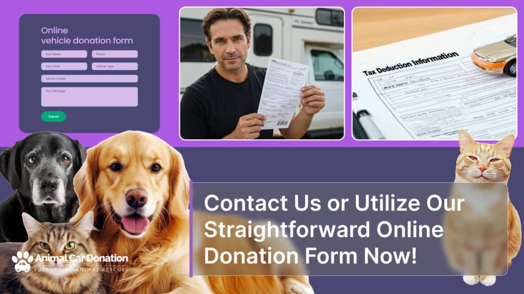 Contact Us or Utilize Our Straightforward Online Donation Form Now!